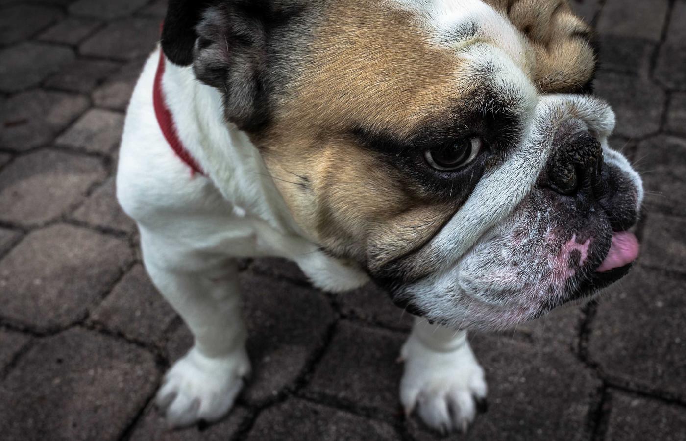 Генеральная уборка